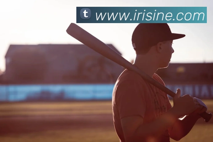 开云在线登录入口官网全站App